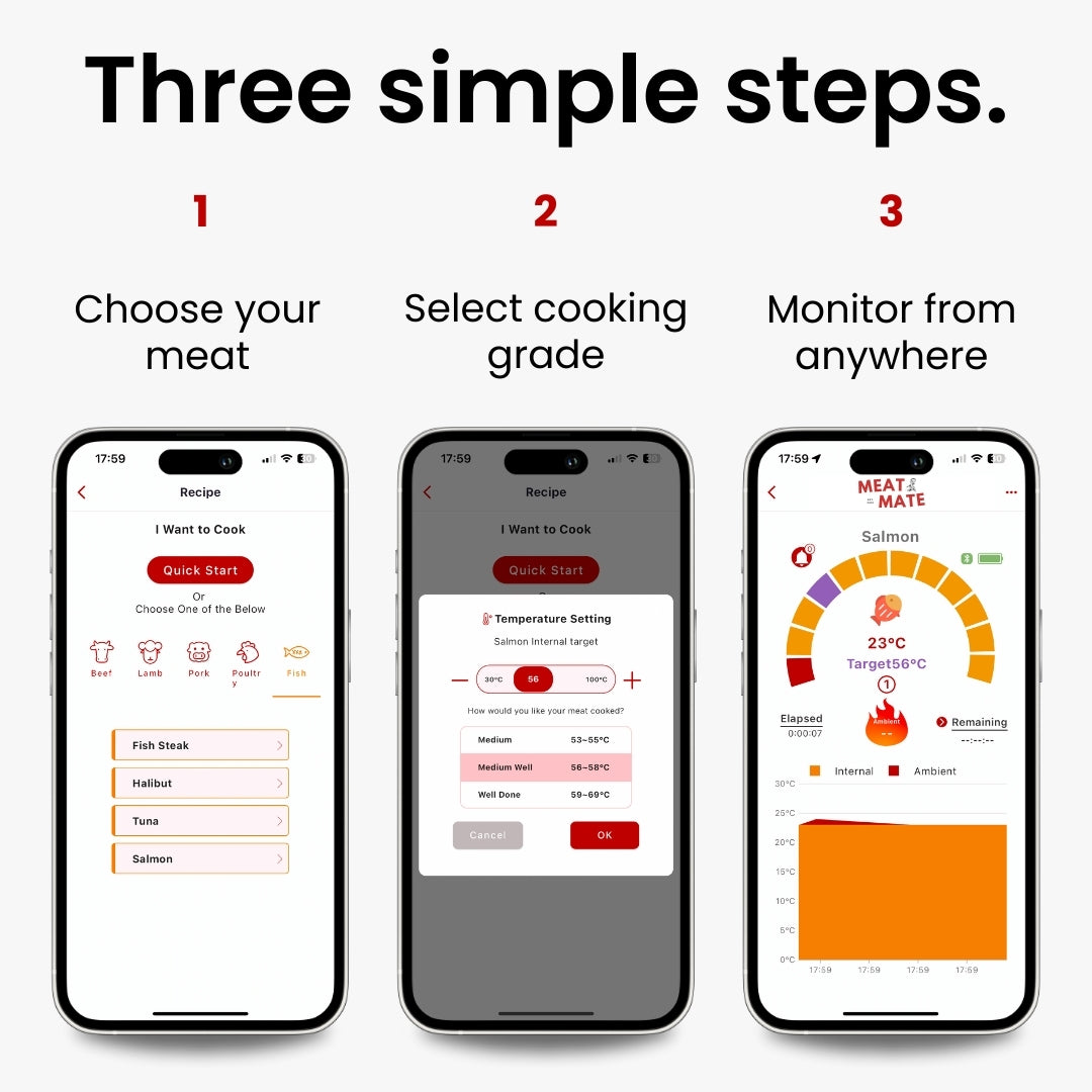 MeatMate PRO ONE