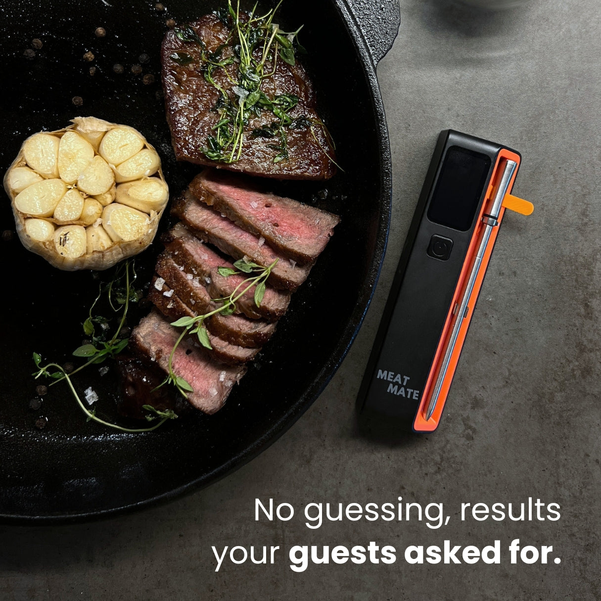 MeatMate PRO ONE