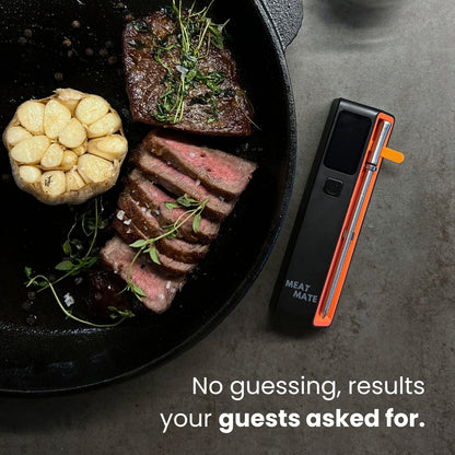MeatMate PRO ONE
