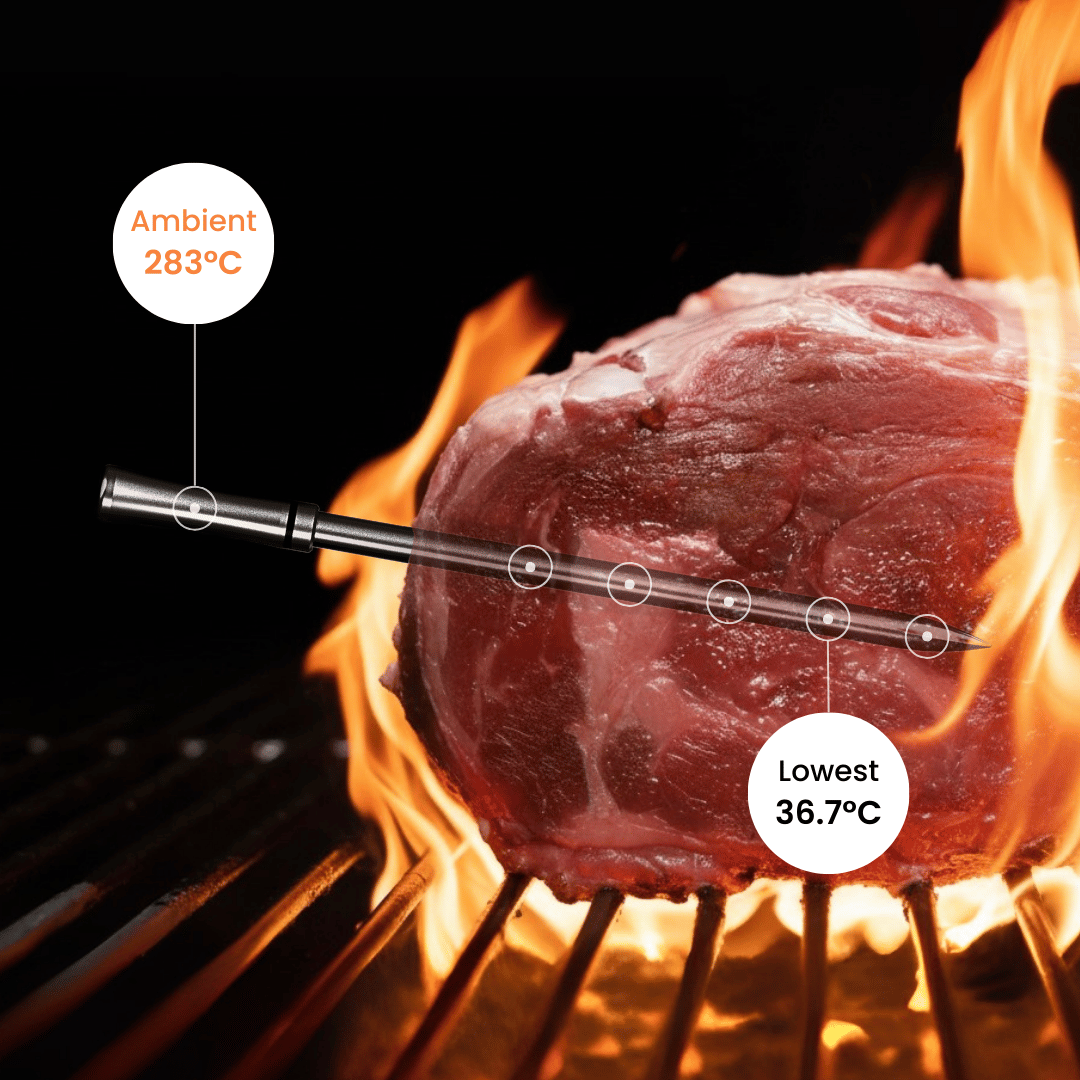 most accurate meat thermometer