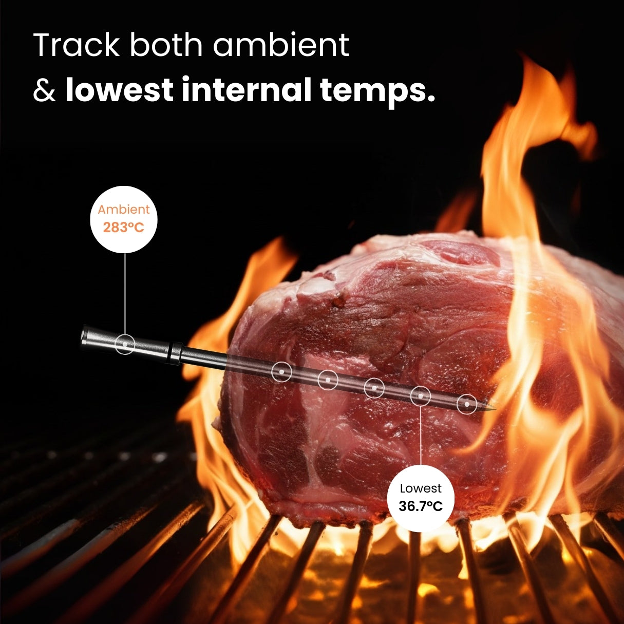 MeatMate PRO TWO