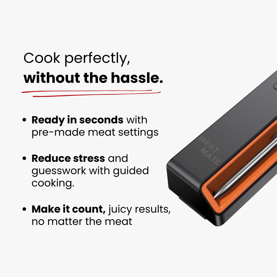 MeatMate PRO ONE