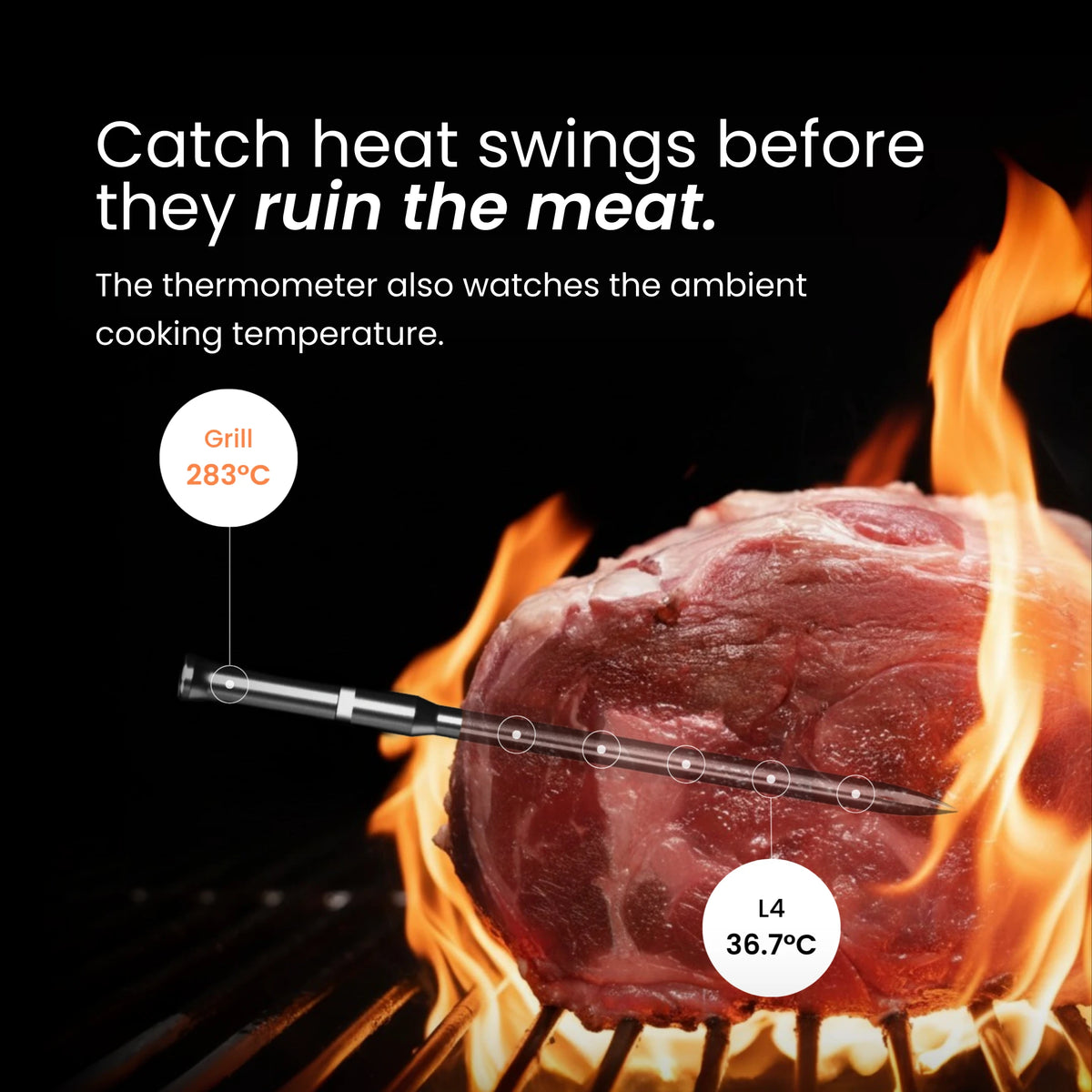MEAT MATE PRO TWO