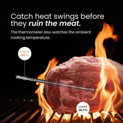 MEAT MATE PRO TWO