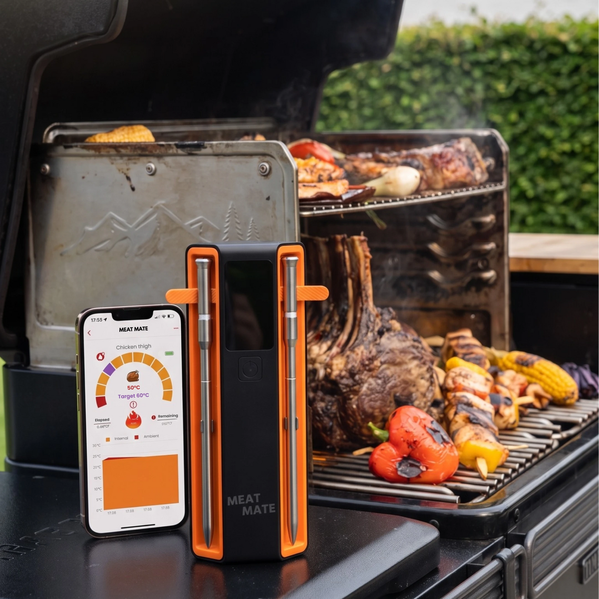 MEAT MATE PRO TWO