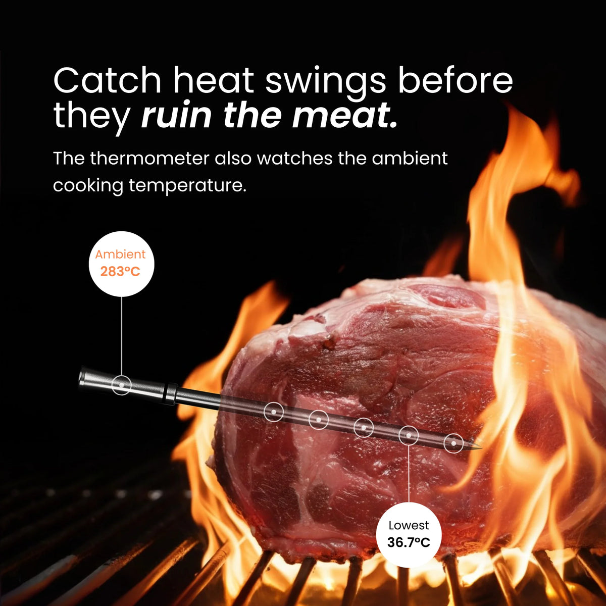 MEAT MATE PRO ONE